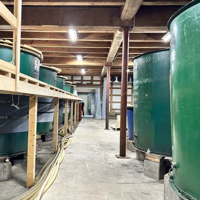 北陸 🇯🇵 神泉 🍶 Higashi Sake Brewery 東酒造