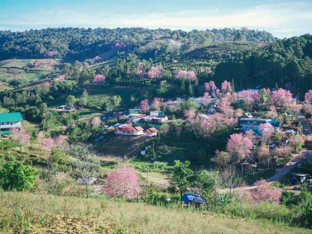 บ้านร่องกล้า