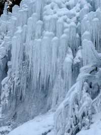 冬の風物詩－氷瀑