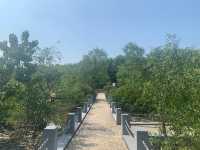 一年四季都有唔同花睇🌺🌸🪷深圳灣公園