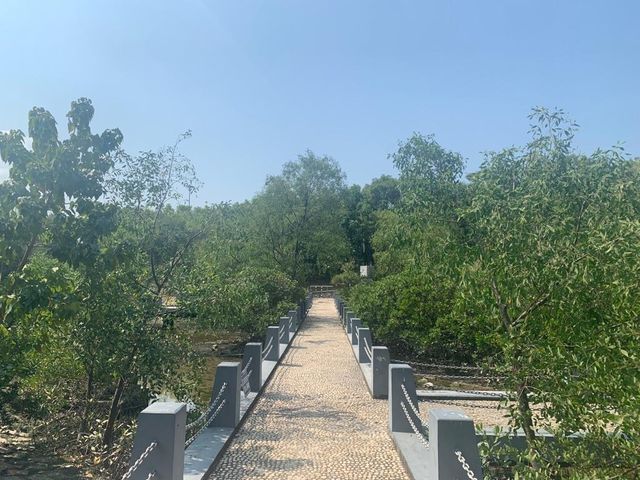一年四季都有唔同花睇🌺🌸🪷深圳灣公園