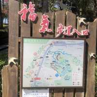 長庚養生文化村（有隱藏版櫻花木棧道八重櫻）