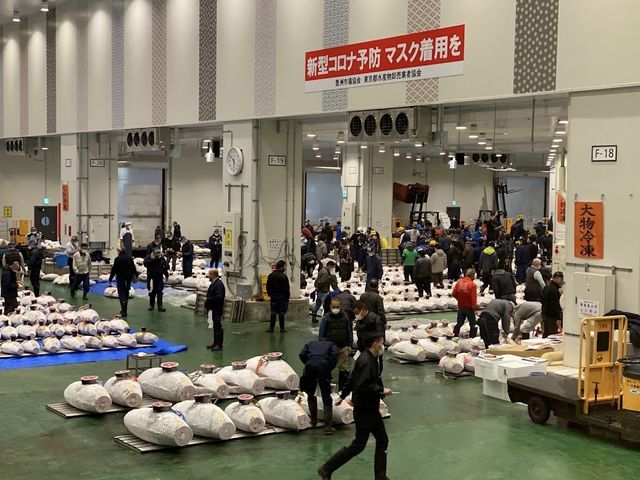 Toyosu Fish Market 