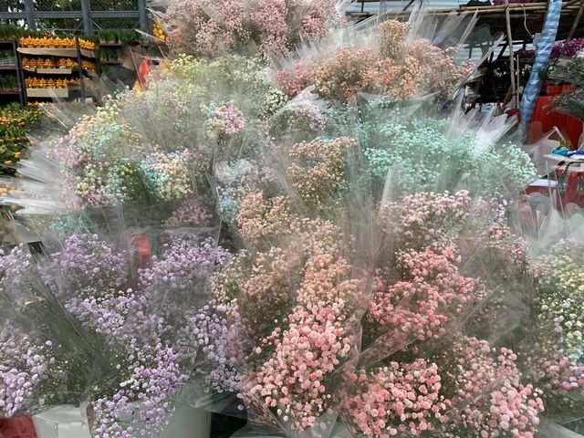 The Biggest Chinese New Year Flower Market In Hong Kong