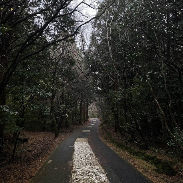 비밀의 숲은 노을질 때 가야 예쁘다