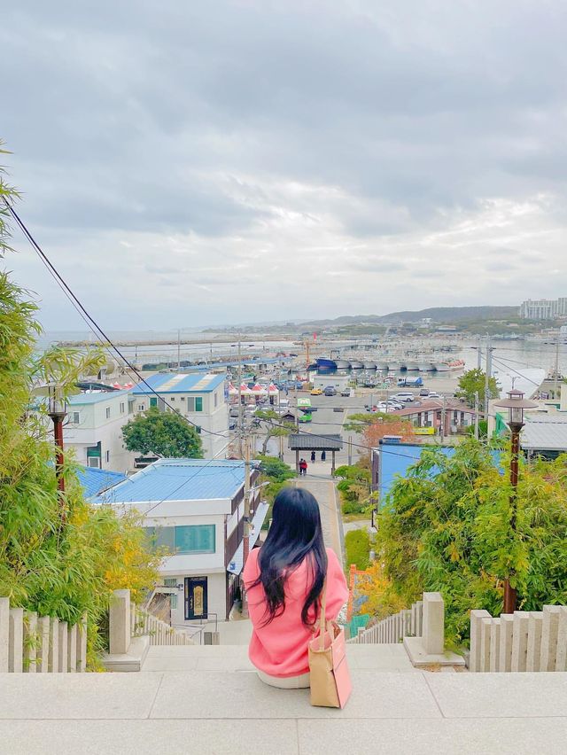 포토존 가득한 포항 일본가옥거리