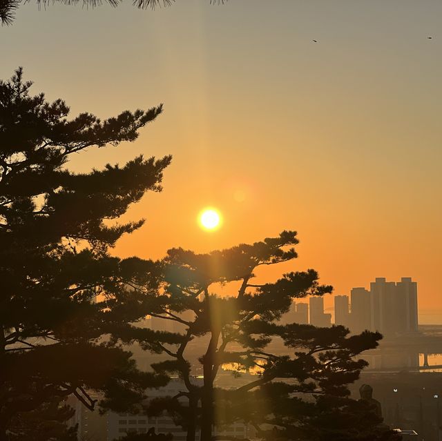 멋진 해넘이 사진을 원하신다면….