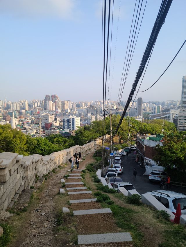 이번 주말에는 서울 낙산공원에서 봄꽃 구경 어떠세요? 🫶