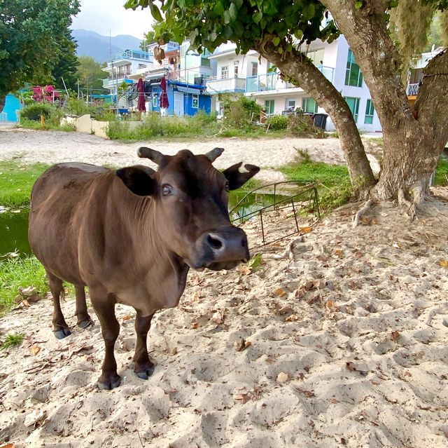 Hong Kong must go beach!