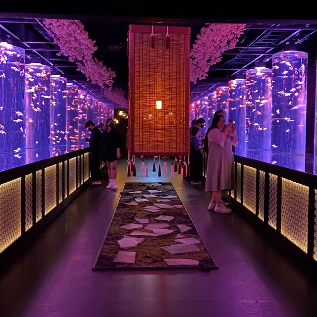 銀座めっちゃ桜　Meccha Sakura Event in Ginza Tokyo