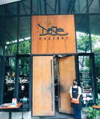 🍮Dose Factory🥧