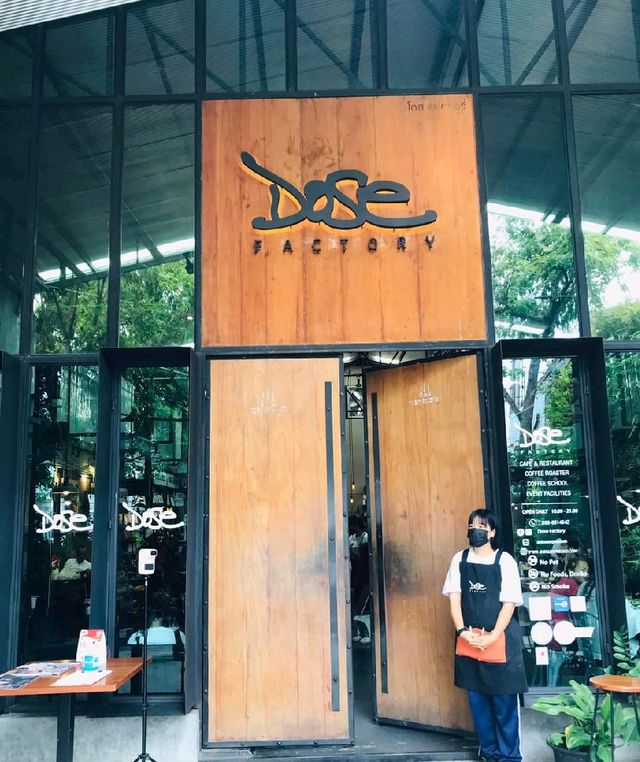 🍮Dose Factory🥧