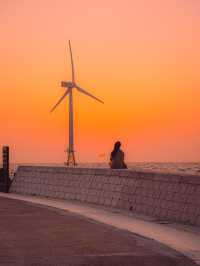 🌅노을과 풍차뷰가 예쁜 제주카페 [제주, 원웨이]🌊