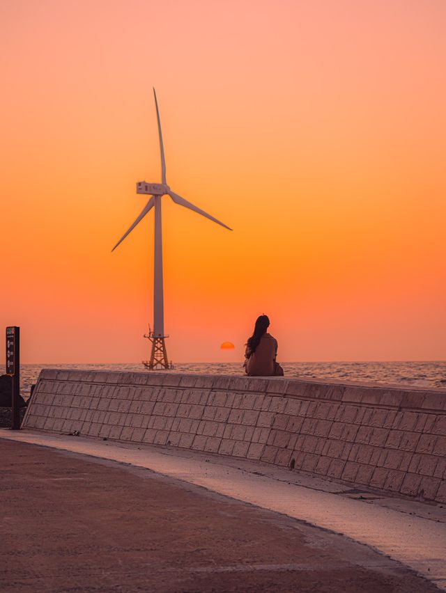 🌅노을과 풍차뷰가 예쁜 제주카페 [제주, 원웨이]🌊