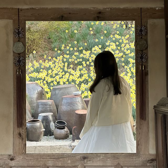 수선화 맛집이라서 서산여행에 가야할 필수코스