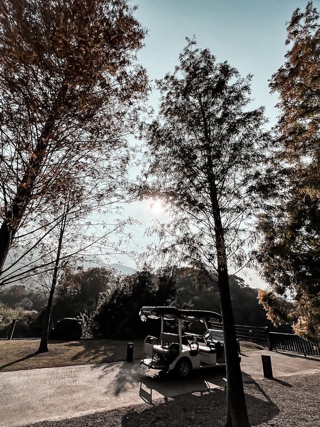 超難預約的台灣獨棟秋山居🎋