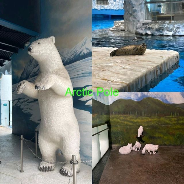 去癲去玩 Ocean Park