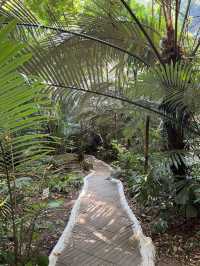 สถานที่ท่องเที่ยวแห่งใหม่ ป่าดึกดำบรรพ์