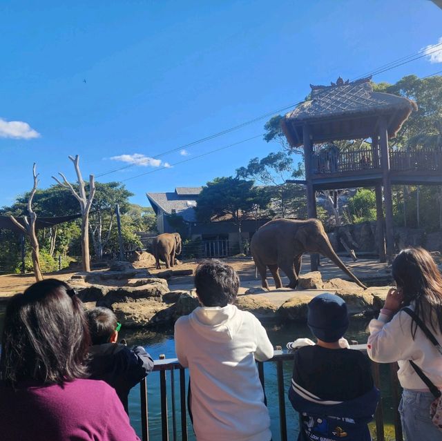 A day in taronga Zoo, starting point: back entrance.