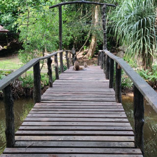 Ko Mu Untouched Pristine Forest 