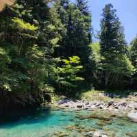 岩魚の里　狭　付知峡