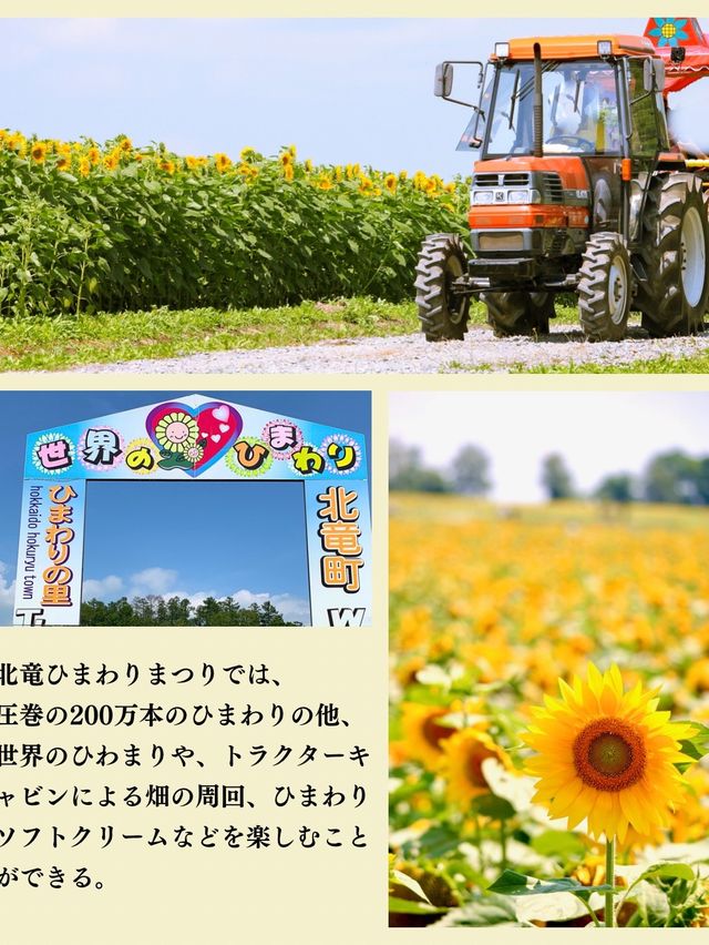 【北竜/ひまわりの里】北海道の絶景ログVol.5