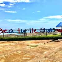 Sea Turtle Conservation Songkhla