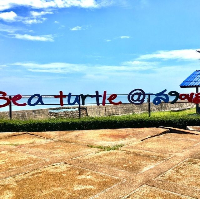 Sea Turtle Conservation Songkhla