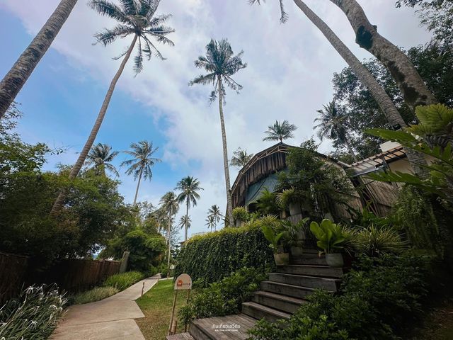 ที่พักสุดมินิมอล ทะเลสวย บนเกาะกูด🏝️