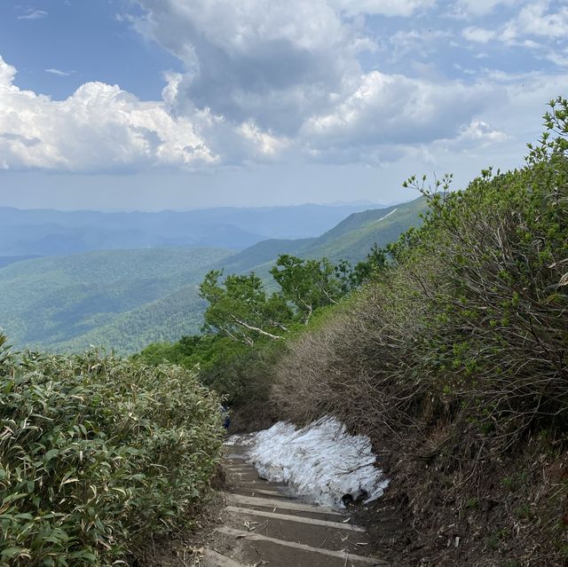 《北海道黑岳：夏季登山夢幻之地》