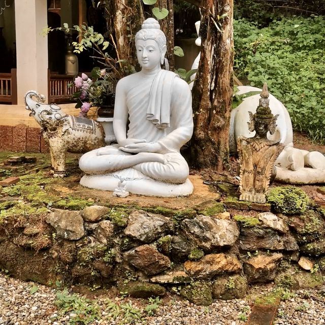 Wat Pha Lat 