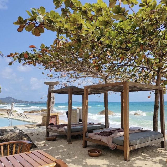 夢幻海島度假天堂！蘇梅島喜來登度假酒店🌴🌊