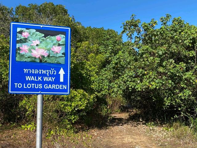 เกาะแตน แสนสวย สงบมากด้วย ธรรมชาติเต็มๆ