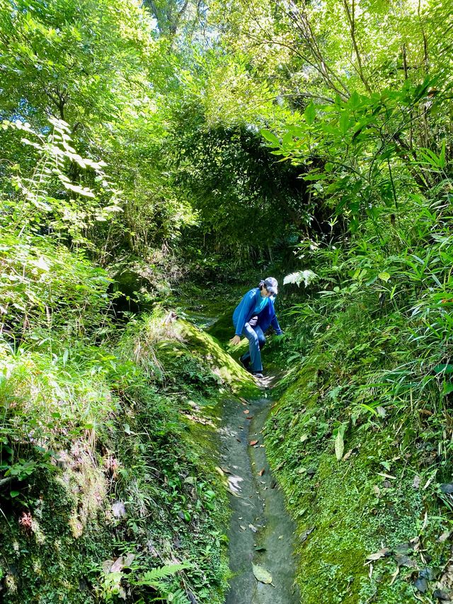 Asaina Kiridoshi Pass - Kumano Shrine 