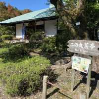 名古屋城行くならぶらり二之丸庭園！名勝指定の庭