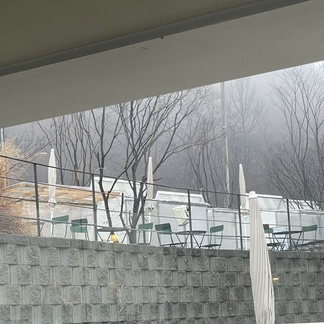 분위기 끝장,,,계절마다 보고싶은 산에있는 카페 사네