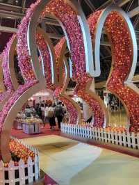 兔年miffy春意花開新年活動