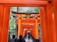 【京都市】無数の鳥居をくぐり山頂へ⛩