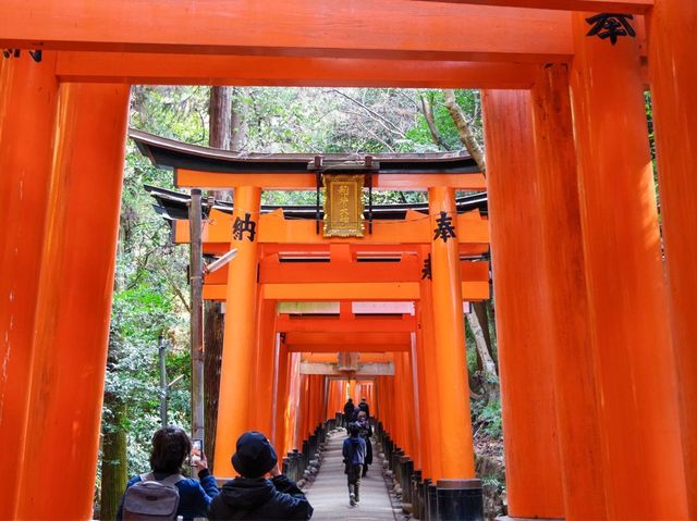 【京都市】無数の鳥居をくぐり山頂へ⛩