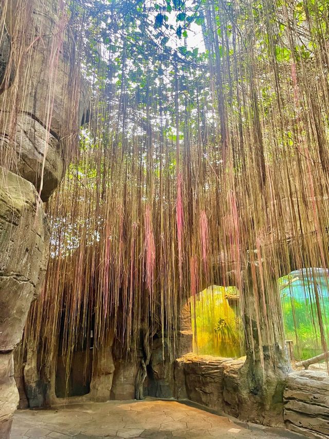 충남 서천 국립생태원🌱