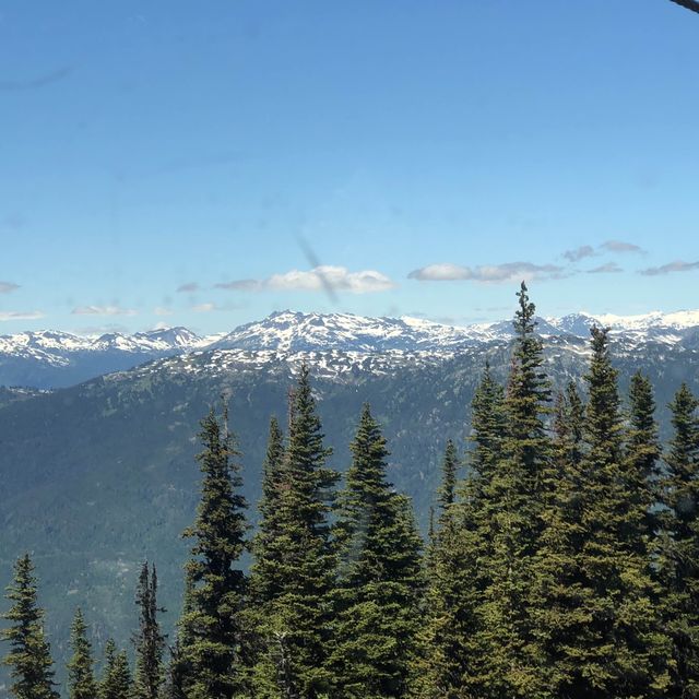 Amazing whistler peak to peak gondola