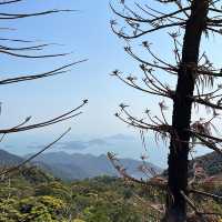 天壇大佛 寶蓮寺 洗滌心靈之旅