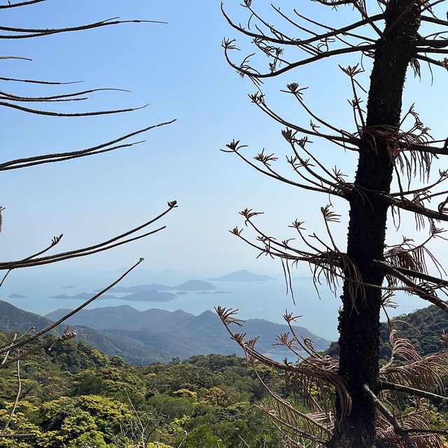 天壇大佛 寶蓮寺 洗滌心靈之旅 天壇大佛 寶蓮寺 洗滌心靈之旅