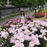 Nakanoshima Rose Garden