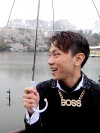 下雨天的櫻花樹 吉祥寺井之頭公園