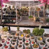 Chan nature cafe’