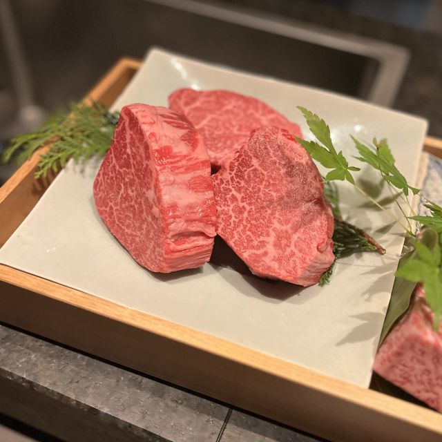 【大阪・北新地】経験豊富なシェフの技が光る芸術的な肉割烹「友百合」