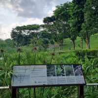 Relax with Nature At Admiralty Park