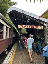 【世界の車窓から】キュランダ鉄道やコアラお触りで自然満喫🐨🌿