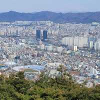 두근두근여름휴가 대전의 인기 산 보문산 등산
